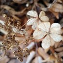 옥천공원 이미지