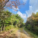 구불2-1길(미소길) 이미지