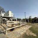 건축학개론 소극장 이미지