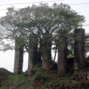 이교동일제군사시설 이미지