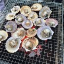 A10 | 5번째 캠핑장 횡성 스므나리 캠핑장 A10, 소금산 출렁다리 후기