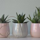 연봉우체국 이미지