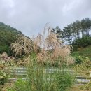 또오랑 - 강서구 등촌로51가길 15 | 또오랑