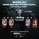 아톰mma