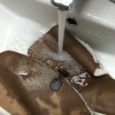 루디아세탁 이미지