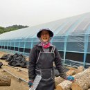 유인숙농장 네이버블로그