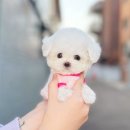 남구-045 이미지