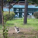 분당서비스기아오토큐(주) 이미지