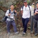 관수야관수 이미지