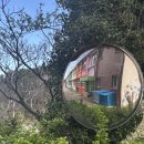 향일암 관광안내소 | 여수 향일암 맛집 거북횟집 갈치조림, 관광명소 구경 후기 (feat. 화태도)