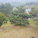 창촌마을회관 이미지