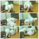 몽실네