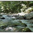 곰배령 PC 이미지