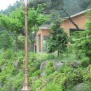 흥부골자연휴양림 이미지