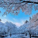 하얀풍경 이미지