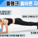 원짐PT