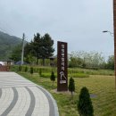 퍼피빌리지 | [출강후기] 창원 반려동물 문화센터 / 펫빌리지 / 첫 만남 / 4월 / 반려견 허브볼 마사지