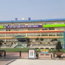 반월 초등학교 이미지