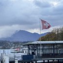 금하정비 | 고산병<<<정신병