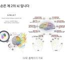 한국다중지능적성평가원 이미지