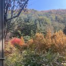 공유숲 | [곤지암]2025년 11월 4일 곤지암 화담숲 실시간 단풍 현황 공유 직접 다녀온 후기 셔틀버스 배차