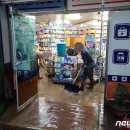 부여약국 이미지