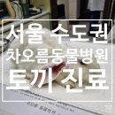 차오름동물병원 이미지