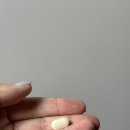 바디멘터리 bodymentary 이미지