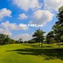 더파인