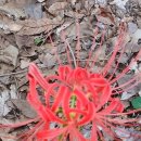 이재홍내과의원 이미지