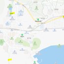 군복공설시장 | 2024 진해 군항제 벚꽃 축제 기본정보 일정 후기