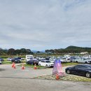 공설운동장 삼거리-우 | 2025 장성 황룡강 가을꽃 축제 후기