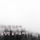 나무의 내력 - 김민정 시인 이미지