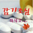 그루터기 이미지
