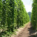 삼생농장 이미지