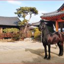 홍성유통 네이버블로그