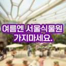 서울 실내 여행지 서울식물원 여름 온실후기 주차꿀팁