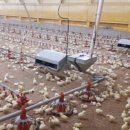 목우촌농장 이미지