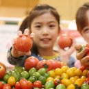 토마토는 왜 채소일까? 이미지