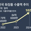 대영화장품 - 성남시 수정구 남문로123번길 13-2 | 대영화장품