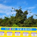 세량2 네이버블로그