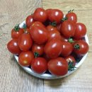 영애농장 이미지