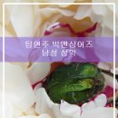 (주)빅맨 이미지
