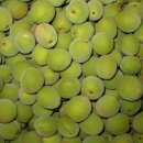 이백농장 이미지