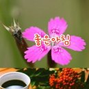 행복의료기 이미지