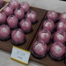 도청대로 | 홍성 수제 모찌 '설향' | 딸기·초코딸기·감귤·샤인머스캣 4종 솔직 비교 후기