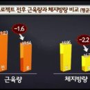 1일1식? 1일2식? 간헐적 단식? 소식? 이미지