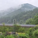 흥정리 | 평창 흥정계곡_강아지, 고양이가 사는 주말성수기 7만원 초가성비 숙소