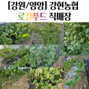 강현농협하나로마트