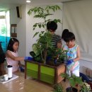 원예교실 이미지